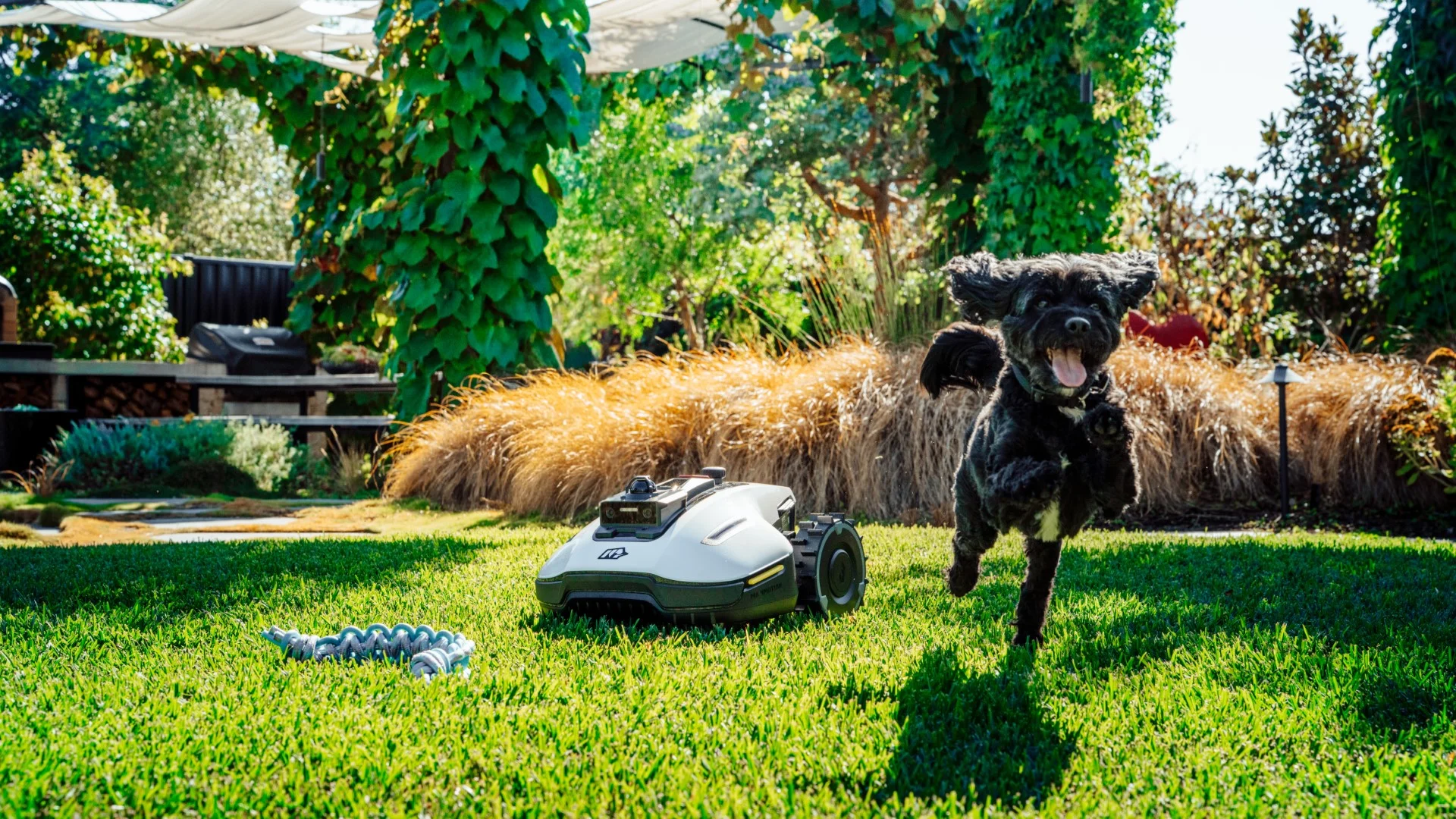Mammotion YUKA mini 2: A Smart Alternative for Lawn Care