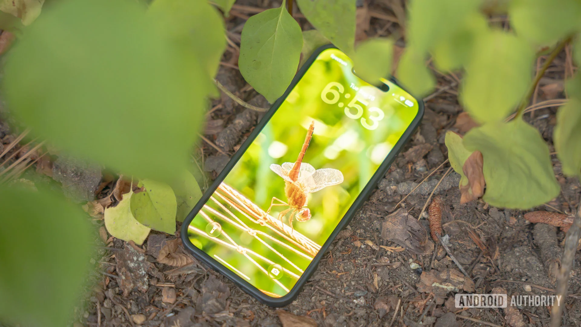 Explore Stunning Phone Wallpapers Every Week