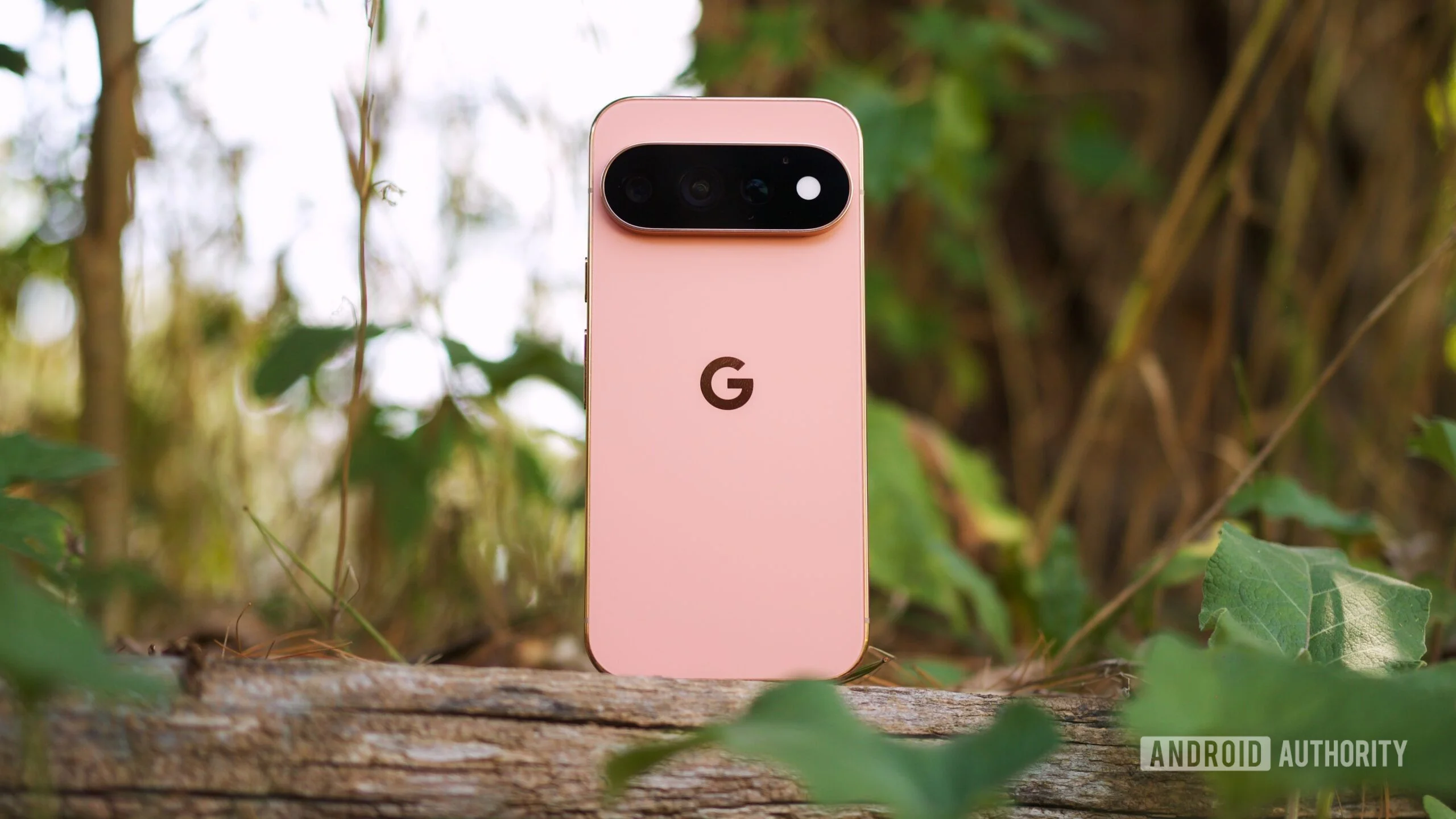 Pixel 11 Pro Outshines iPhone 18 Pro in Value and Usability